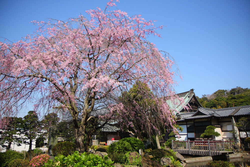藤沢市西富エリア