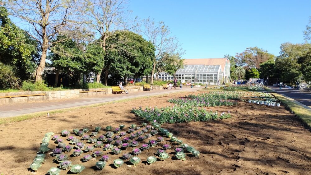 藤沢市辻堂太平台エリア