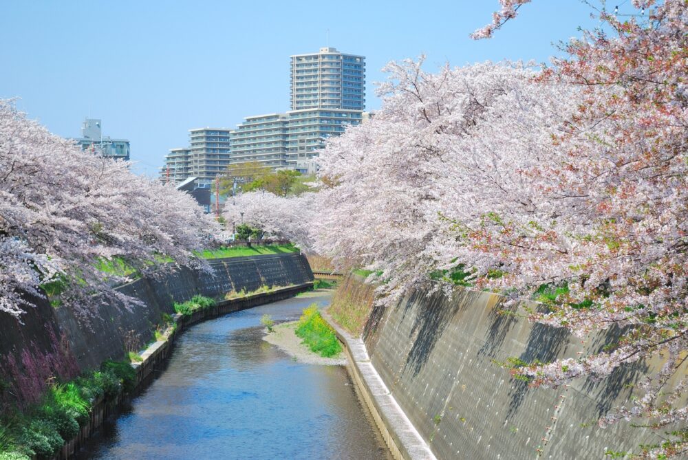 藤沢市鵠沼東エリア