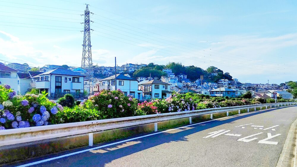 藤沢市白旗エリア