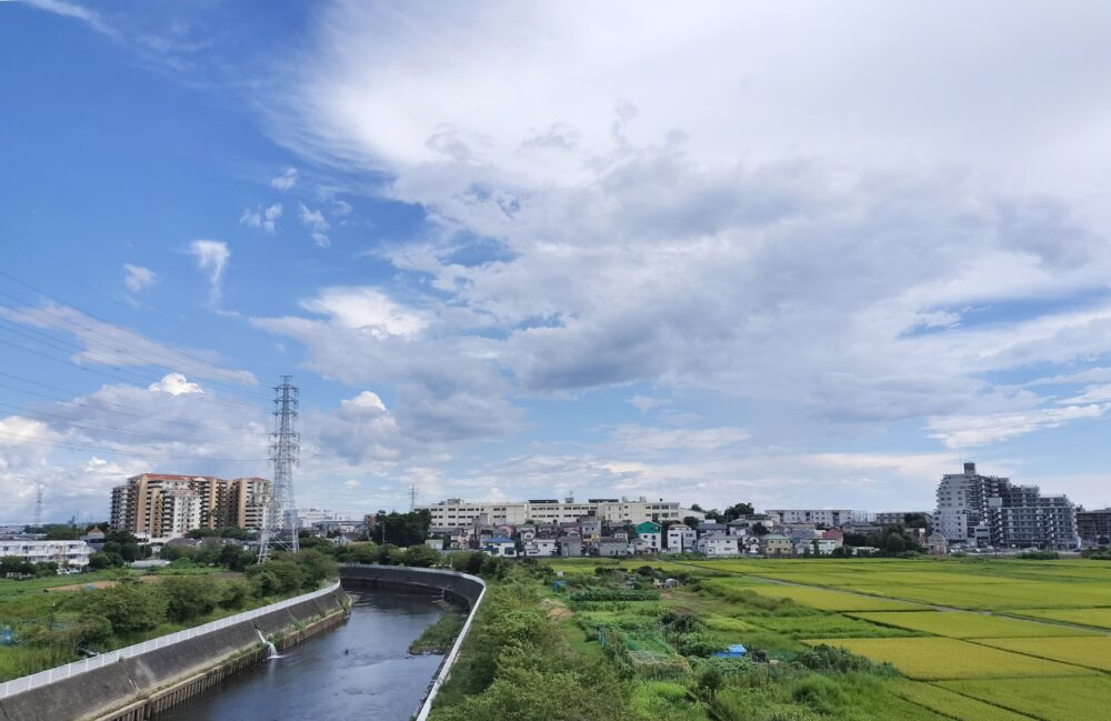 大庭大橋から見る藤沢市 大庭大橋から見る藤沢市