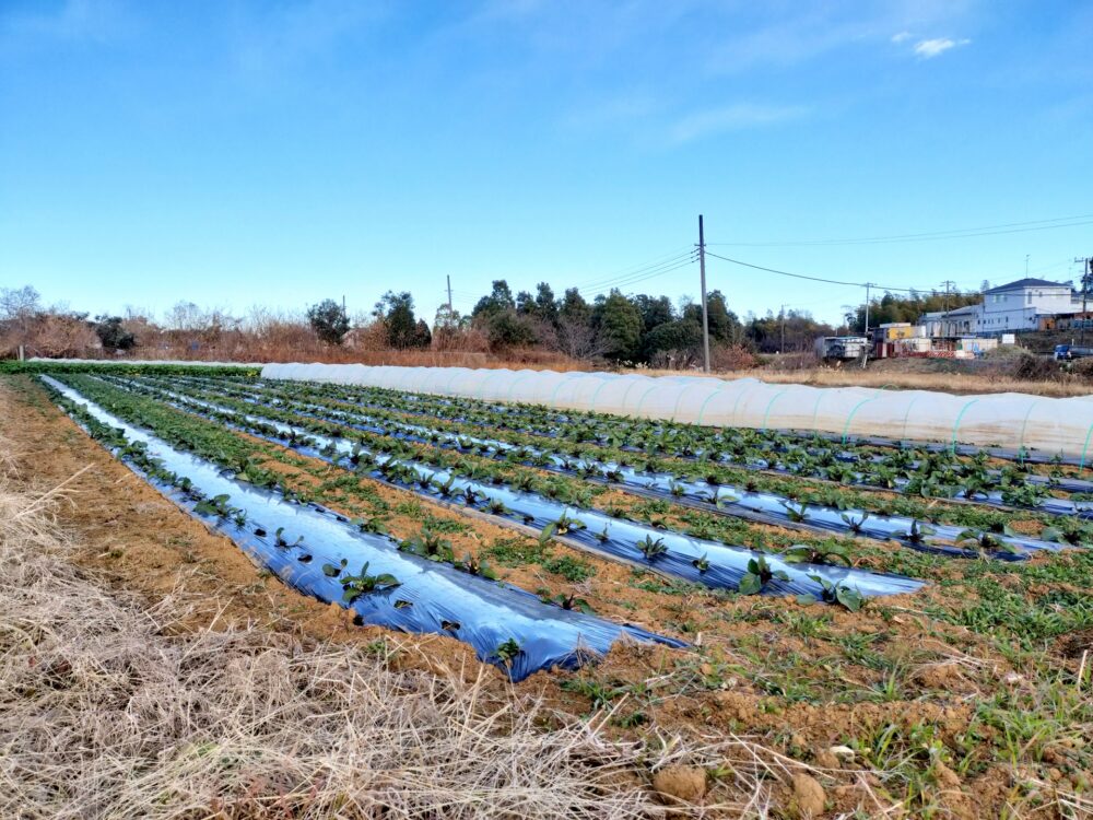 藤沢市葛原エリア