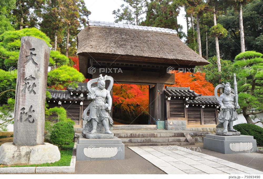 藤沢市渡内エリア