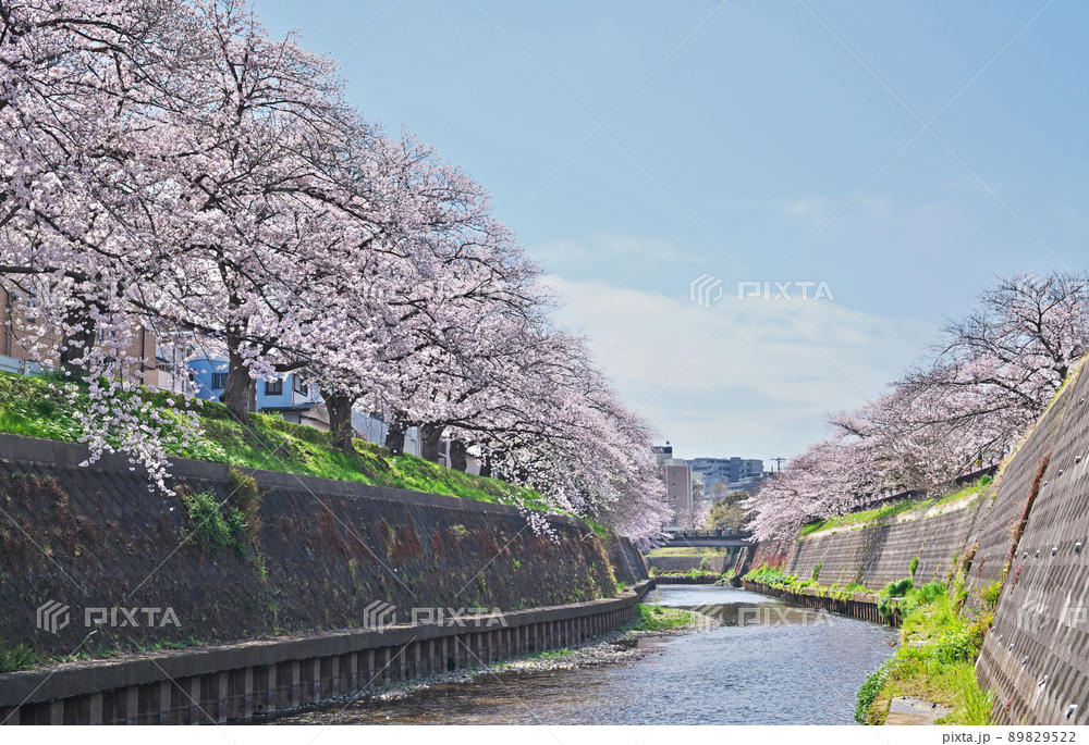 藤沢市並木台エリア