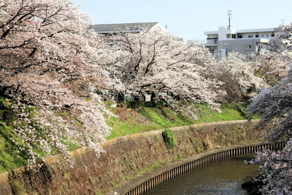 藤沢市円行エリア
